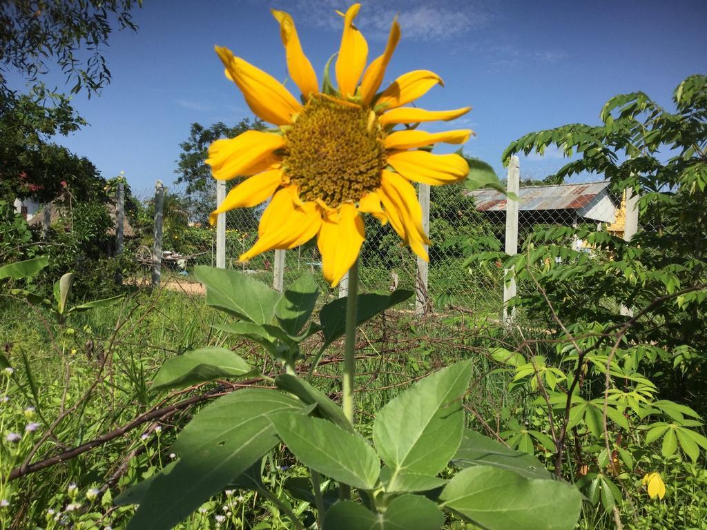 Bunyong Homestay Siem Reap Exterior foto